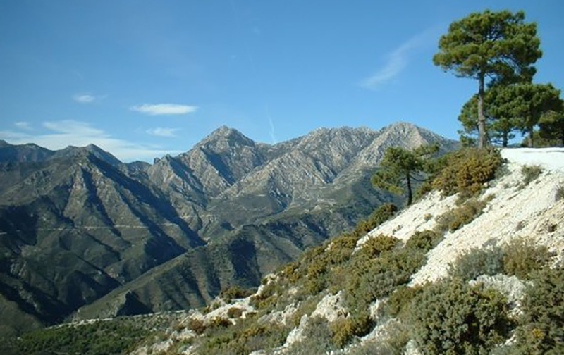 Parque Natural Montes de Málaga 