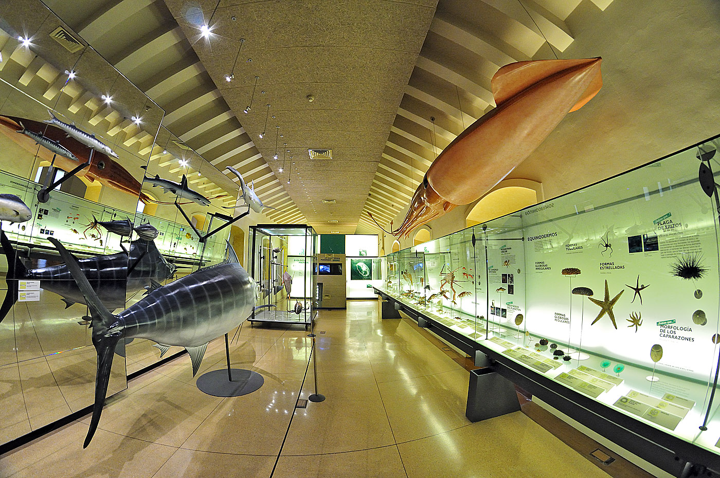 Interior do museu