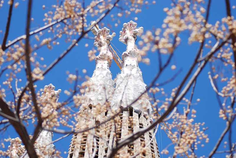 Sagrada Família na primavera