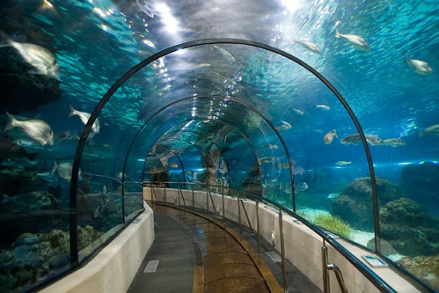 Ingressos para o Aquarium de Barcelona