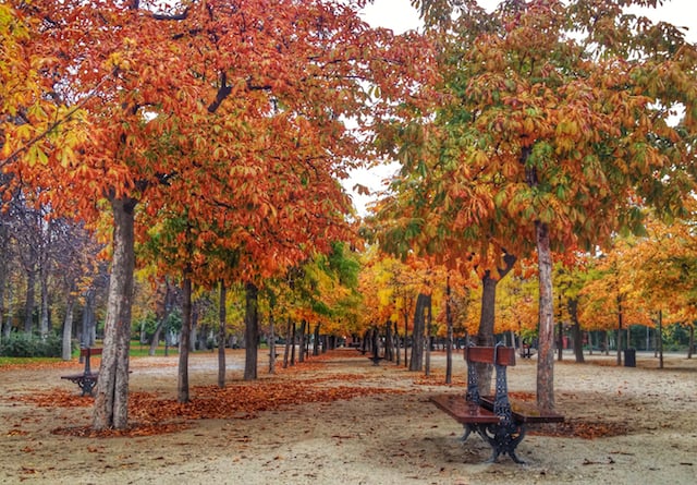 Parque del Retiro em Madri