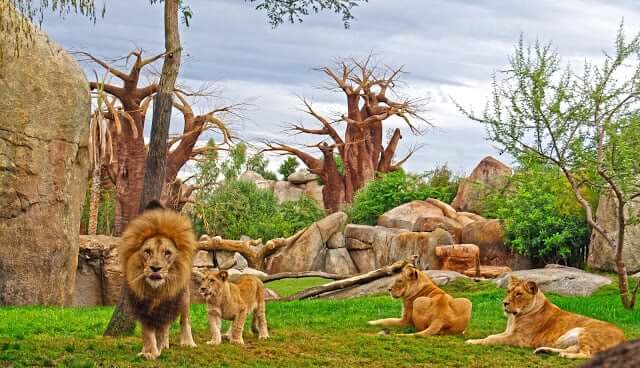 Valencia Bioparc 