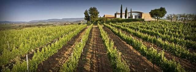 Bodeja Jean Leon