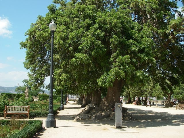 Jardins de Miramar