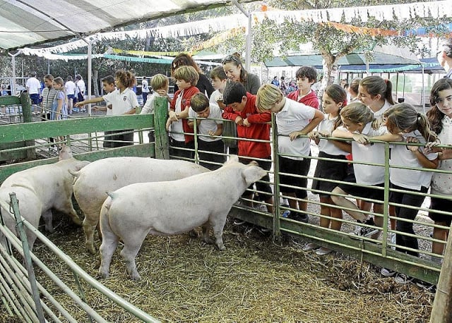 Fira del Bestiar em Ibiza