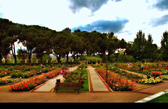 Parque del Oeste - Rosaleda