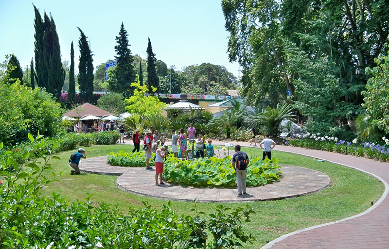 Jardins Botânicos Históricos de Málaga 