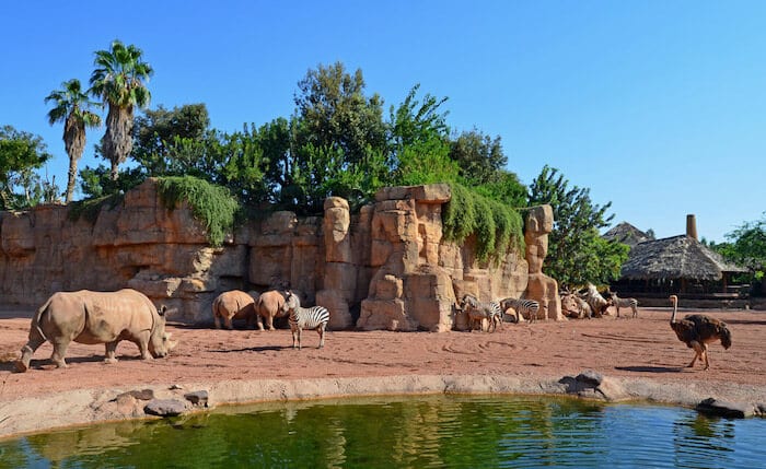 Recinto do Valência Bioparc