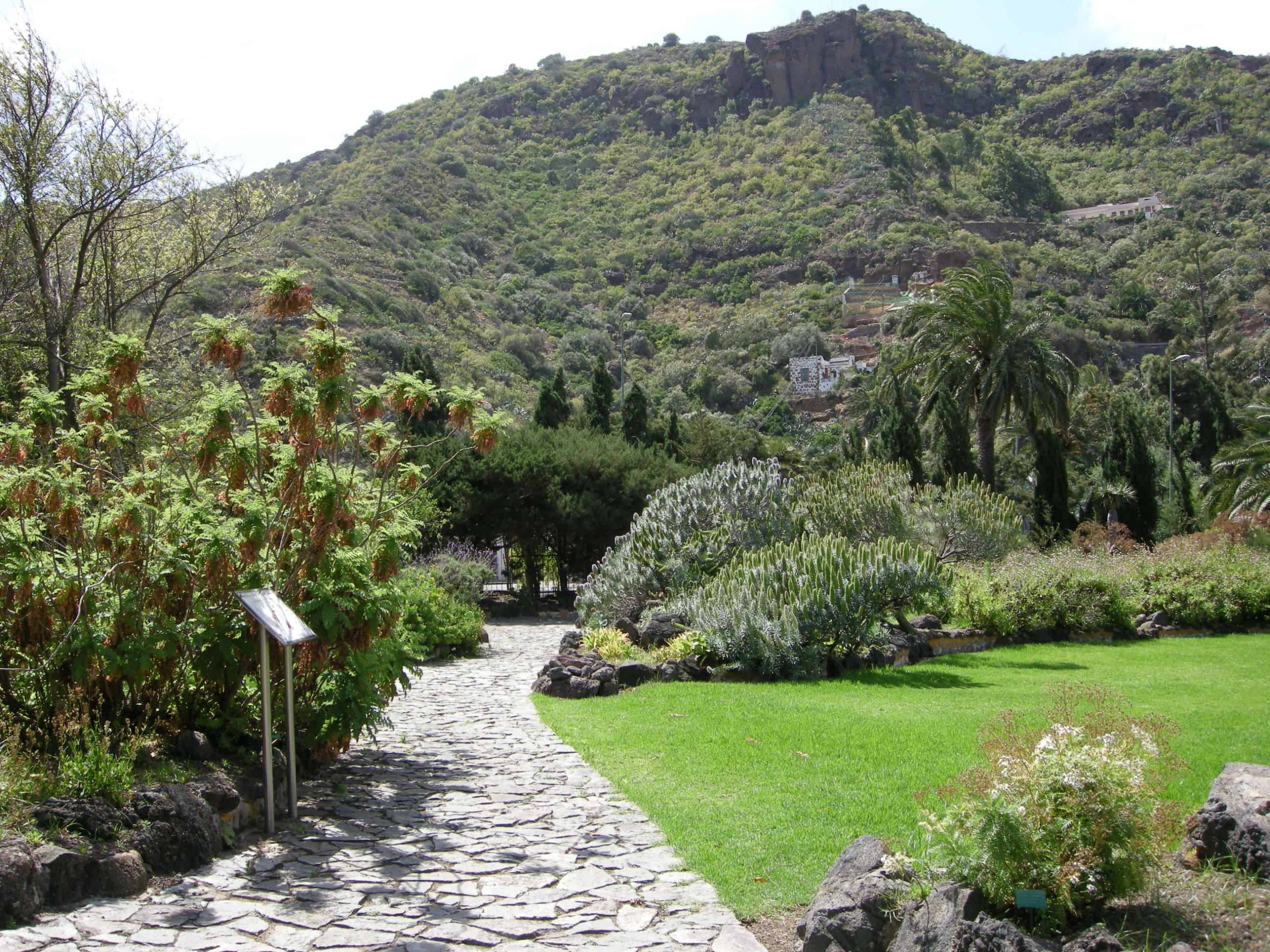 Jardin Canario em Gran Canaria