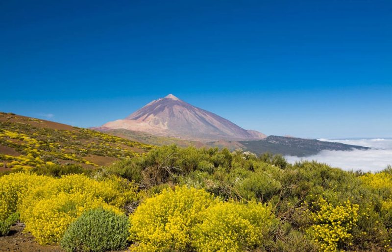 Parque Nacional de Teide