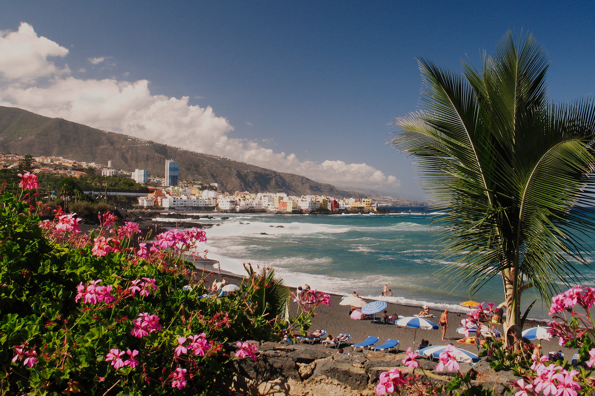 Flores na Playa Jardin em Tenerife