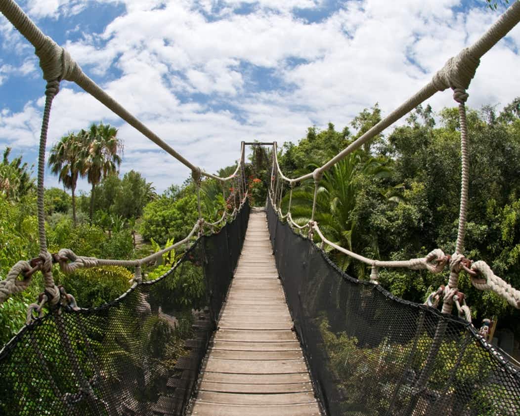 Paisagem do Jungle Park in Tenerife