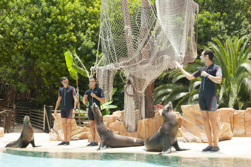 Show no Jungle Park in Tenerife