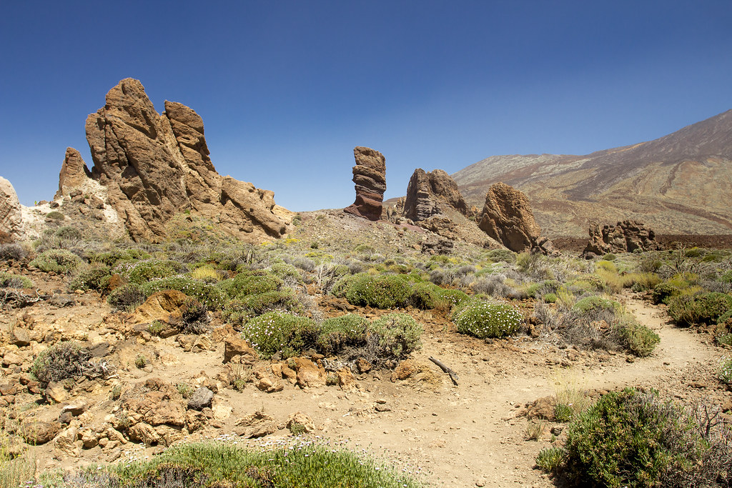 Vista do El Roque Cinchado em Tenerife