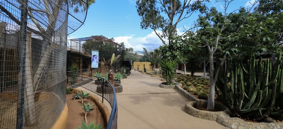 Interior do Monkey Park Tenerife