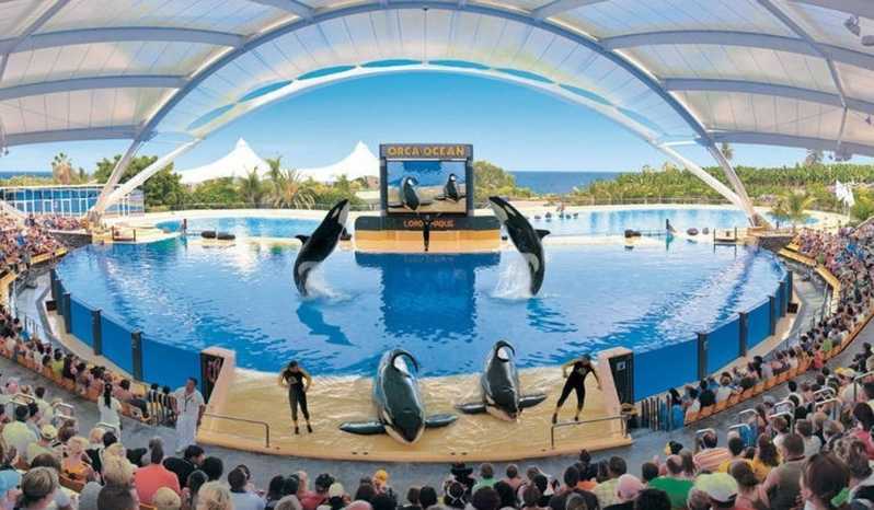 Loro Parque em Tenerife